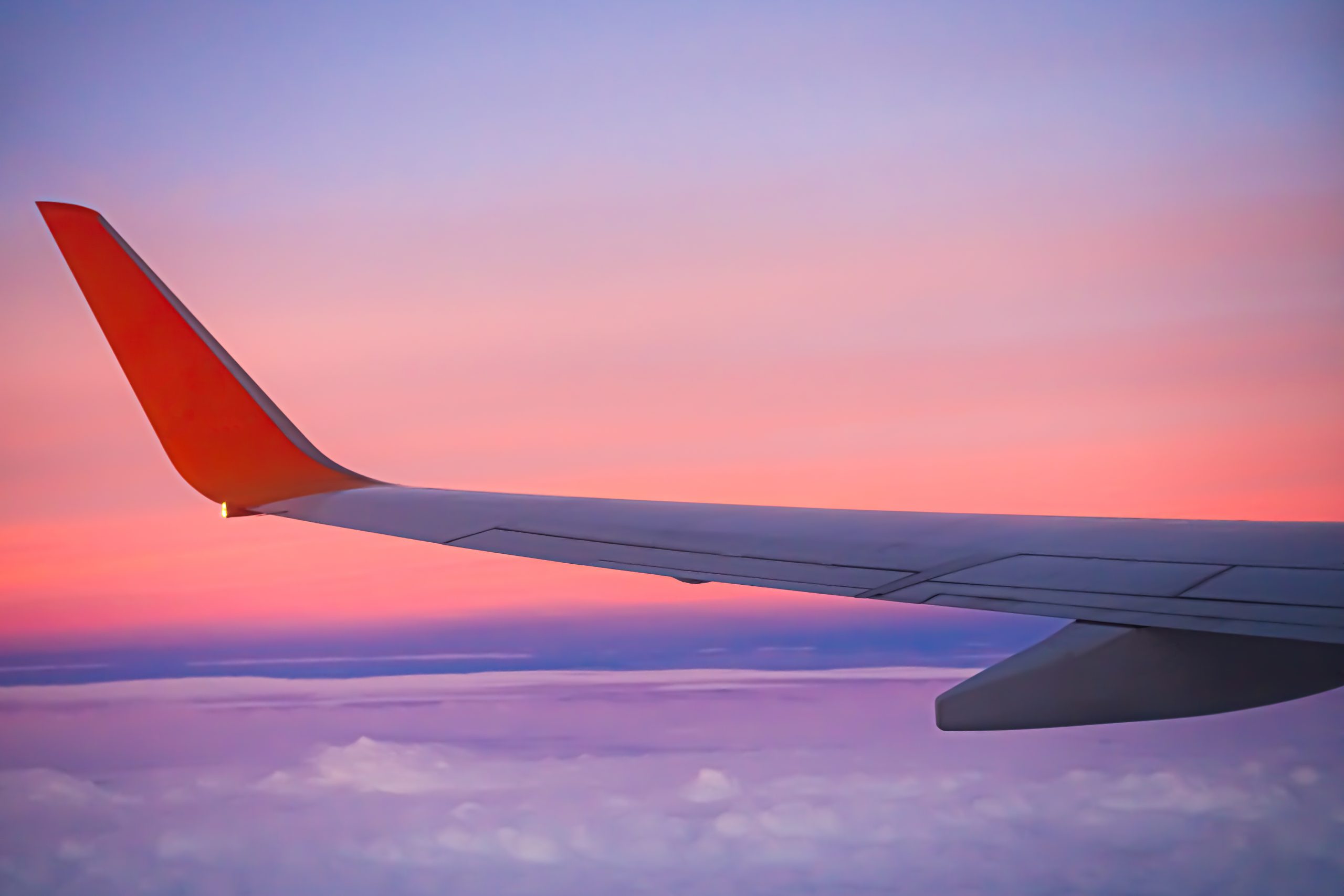 Travel management company Uganda — Flybora Kampala team